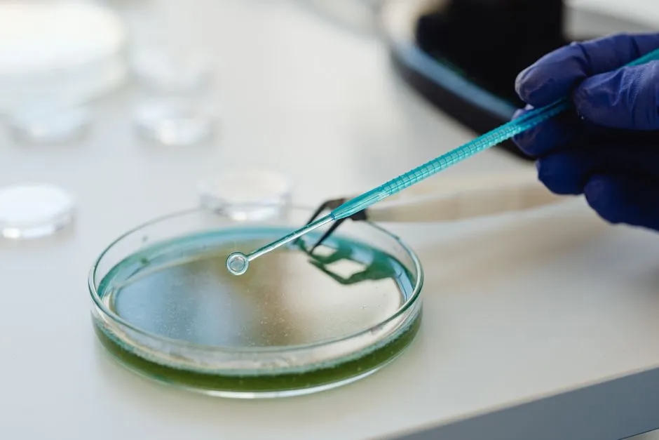 Water Quality Testing in Cypress Forest