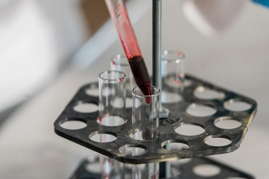 Water Quality Testing in Spring Branch